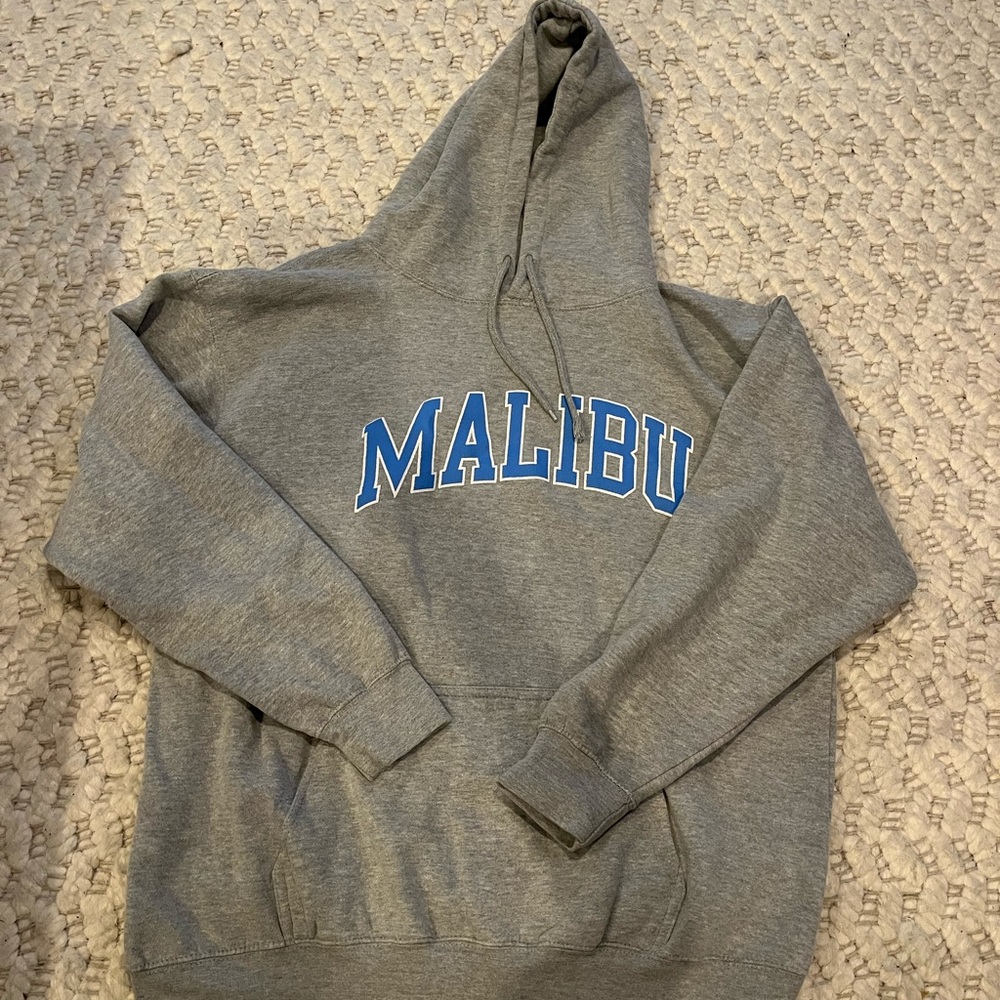 brandy melville hoodie